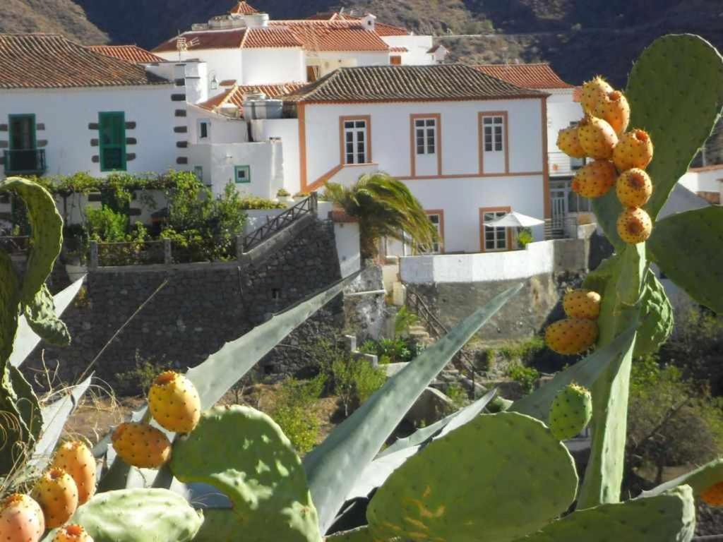 Casa Rural Las Cáscaras Tejeda  Exterior foto